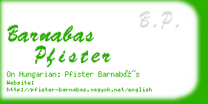 barnabas pfister business card
